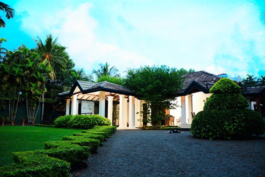 Camellia Dwelling Bed & Breakfast Hikkaduwa Exterior photo