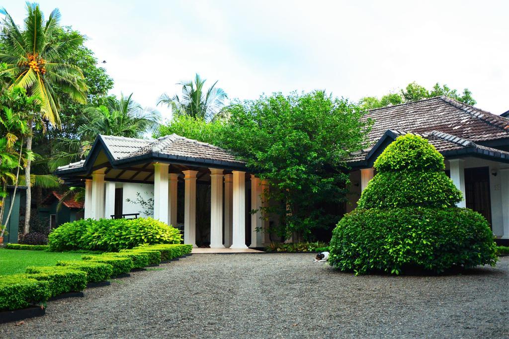 Camellia Dwelling Bed & Breakfast Hikkaduwa Exterior photo