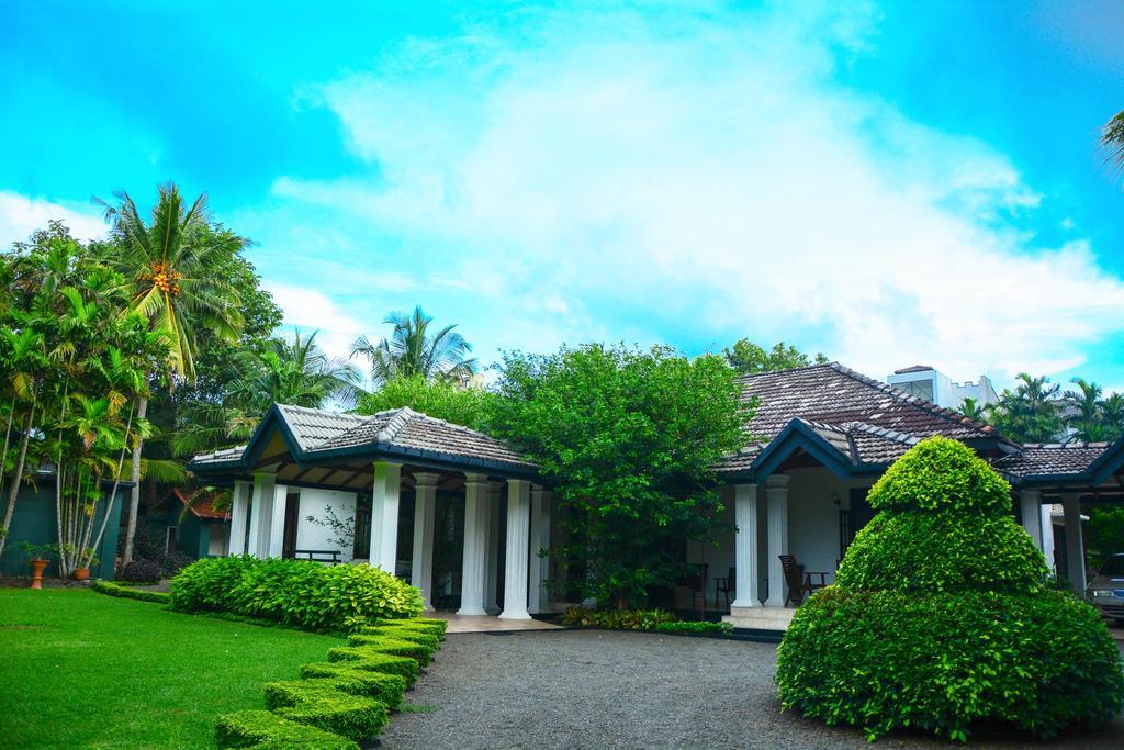 Camellia Dwelling Bed & Breakfast Hikkaduwa Exterior photo